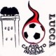 A.S.D. Calcetto Insieme