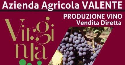 Azienda Agricola VALENTE: benvenuta!